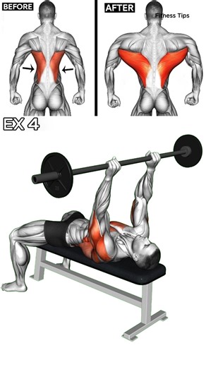 How To Get Bigger Back 🔥 #muscle #exercise #fitness #workout #fit | Fitness Tips