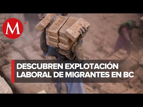 In Baja California, organizations detected labor exploitation of migrants.