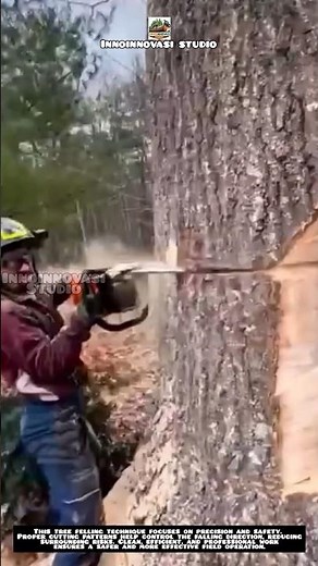 Safe and Precise Tree Felling Technique 🌳🪚