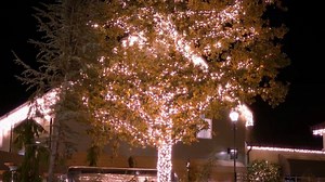 VIDEO: Check out the fantastic Christmas lights and Christmas atmosphere in Kildare Village... | Kildare Now