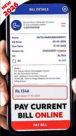 Pay Electricity Bill Online in 30 Seconds! #electricity #payment