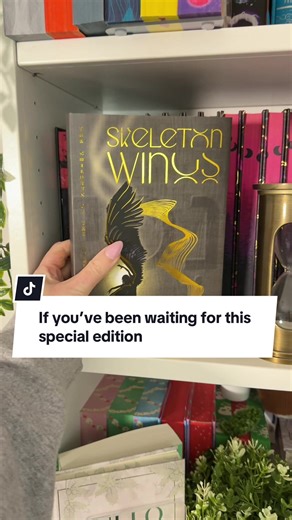 Fallen Angels Romantasy: Special Edition Review