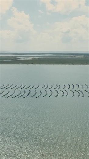 Michelle Martin 🌱 Ag Mag on Instagram: "This was by far one of the coolest episodes I’ve had the opportunity to film! Thanks for the opportunity @oyster_bros . . . #oysterbar #oysterbay #oysterfarming #agricultural #agmedia #texasgirl #farmvlog #farminglife #outdoorgirl #aglife #godscreationisbeautiful"