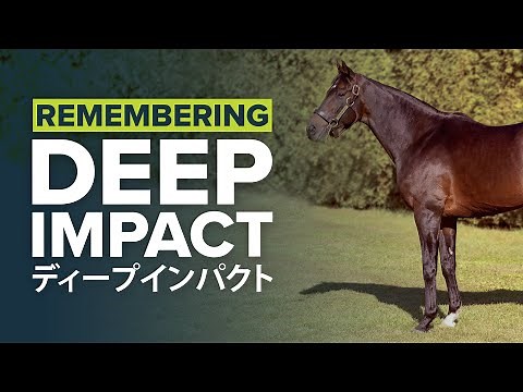 DEEP IMPACT | ディープインパクト: JAPAN'S GREATEST RACEHORSE