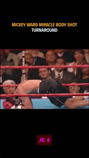 The boxing (@thrushhazel2001)’s videos with original sound - The boxing