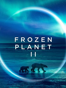 Planet Earth: Frozen Planet II: Season 1 | Rotten Tomatoes