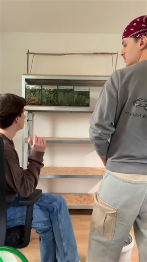 Gali Koï on Instagram: "Installation d’une batterie DIY pour notre petit élevage 🐟 #aquarium #aquariophilie #fishbreeder #poissons #guppy"