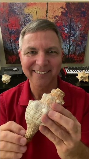 Fox Shell Horn Demo - Don Chilton