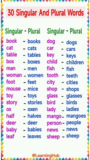 30 Singular and Plural | Singular and Plural 30 Words | Singular and Plural Nouns | English Grammar
