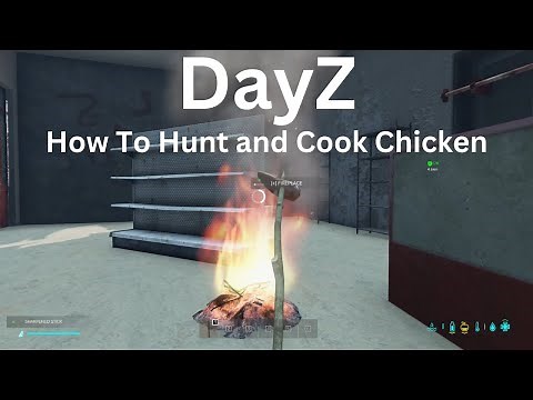 DayZ | How To Hunt and Cook Chicken In DayZ (2023)