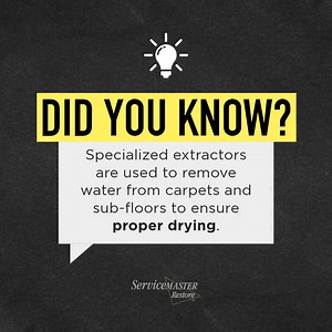 Did you know? Water damage is one of the most common and costly issues homeowners face. Stay informed—stay protected. | ServiceMaster Restore