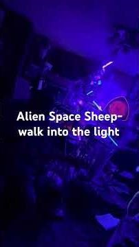 Alien Space Sheep-walk into the light ￼
