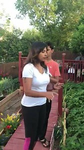 1.1K views · 44 reactions | Organic Strawberry picking A family of four requires 28 -30 plants for regular supply of strawberries . With the tips in video , it is easy to keep away from store bought strawberries full of pesticides | Patilkulkarnifarms | Facebook