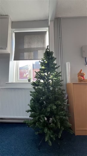 ✨ It’s beginning to look a lot like Christmas… at the Devon County Show office! 🎄 | Devon County Show
