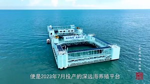广东现代海洋牧场，“再造一个海上新广东”