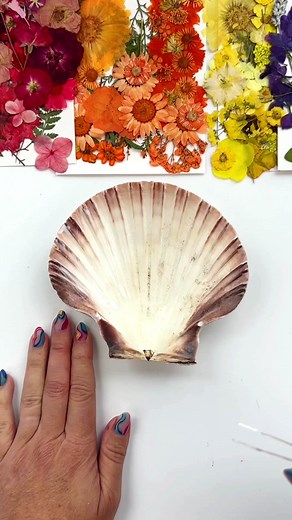 1M views · 5.2K reactions | Fun way to decorate shells! Supplies linked here: https://liketk.it/4bf2N | Color Made Happy | Facebook