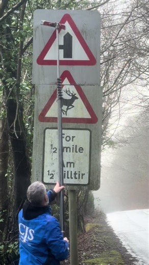 Stopped to keep the deer Safe. #signcleaning #beforeafter #wildlife #satisfyingvideos #fyp
