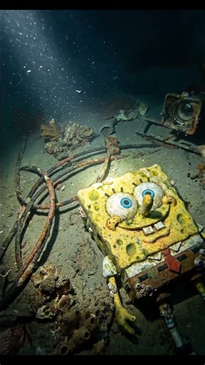 😱 Samundar ke andar mila Real Life SpongeBob! #mystery #sponchbob #underwater