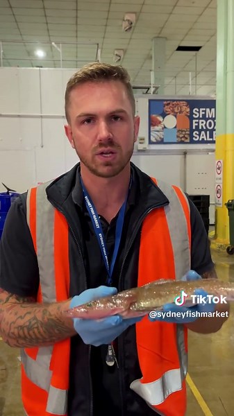 Discover the Unique Tiger Flathead Fish