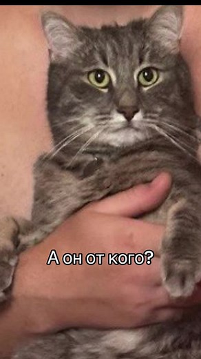 Можете сделать єкстрептізу 😂🤌🏻 @mmm.bandos13