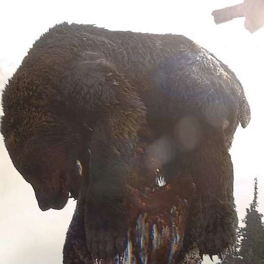 🐻 Predator vs. Grizzly Bear Scene | Prey (2022)