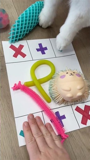 Fidget Trading with a DOG?!