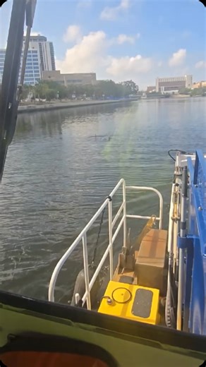 10K views · 369 reactions |  Our Litter Skimmer Trash Boat dolphin-ately had a special morning today! | City of Tampa | Facebook