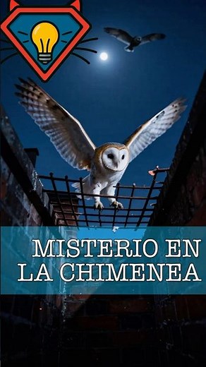 El misterio de la chimenea: lechuzas atrapadas y final feliz 🦉 #Naturaleza #Fauna #Rescate