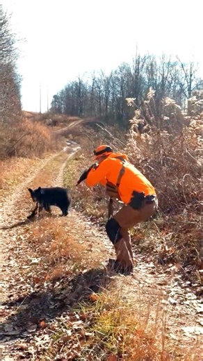 Прицел был готов, но я пощадил медведя🐻охота#кабан#весенняяохота#кабан#охота #bearhunting