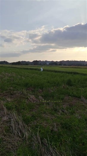 giant whistle bomb! test fire #firecracker #fireworks