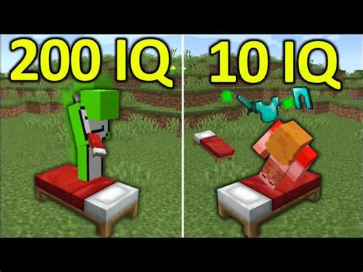 200IQ vs 10IQ Minecraft plays #10