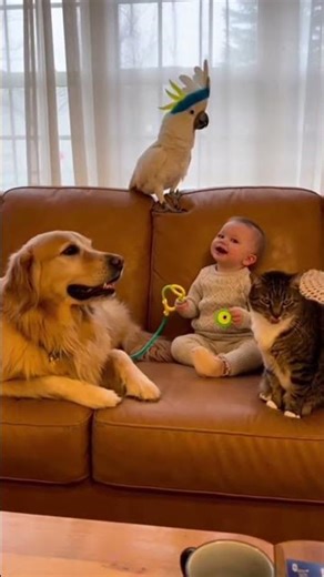 Doctor Kakadu’s Cute Pet Check-Up 🩺🦜✨