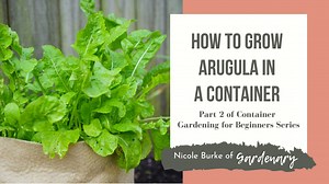 31 reactions | Arugula is super easy to grow from seed and a great...