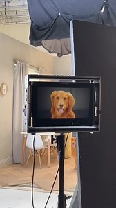 Have you seen our fresh new TV ad yet? 😍 Watch for a snapshot of what it was like behind the scenes, then head to the link for the full video: https://www.youtube.com/watch?v=Yj268G2V5-A Or, as we like to call it, a History of Dog Food. #Butternutter | Butternut Box