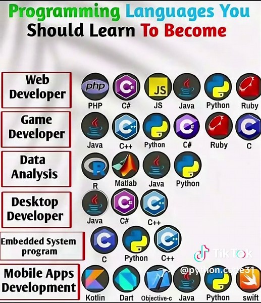 Which Programming Language Should You Learn First?