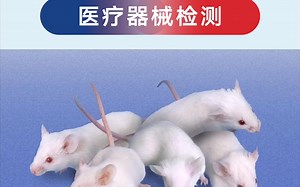 生物相容性常规三项检测是什么？体外细胞毒性测试、皮肤致敏试验、皮肤刺激试验 医疗器械生物相容性