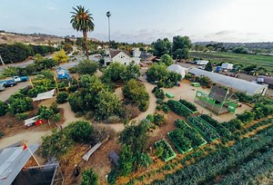 Permaculture Design Certification Course at The Ecology Center (June - Aug)