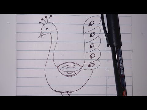 Simple Peacock Drawing | Easy Step-by-Step Art for Beginners