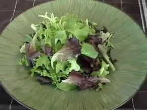 Nasturtium Salad - Pretty and Delicious