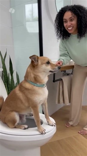 dog using toilet like human while the owner is happy #dogusingtoilet #viraldogvideo #viralshorts