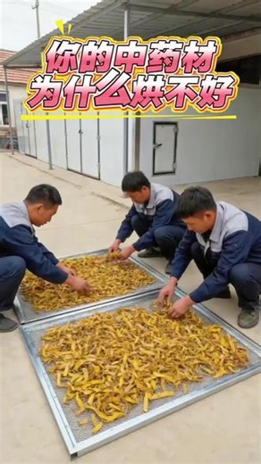 中药材种植加工烘干技术技巧中药材种植加工中的烘干技术技巧需根据药材特性、加工目的和条件选择合适方法，以下是常见烘干技术技巧及要点：晒干法适用药材：多数根、根茎、皮、种子、果实类药材（如甘草、黄芪、党参、苦杏仁等）。技巧：选择晴朗、干燥、通风良好的天气，将药材薄薄摊开在苇席或水泥地上，及时翻动保证日光照射均匀。秋后晾晒时，夜间需收起盖好，防止返潮。阴干法适用药材：含挥发油类（如薄荷、紫苏叶、藿香）、