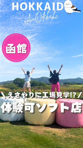 えさやり体験にソフトクリーム🐄🩷 函館空港から6分！ 駐車場も多めで立ち寄りやすいコチラ👐✨ 牧草ロールの上に乗って映え写真が撮れたり、 大きな函館牛乳のフォトスポットなどもあって 旅の記念📸にもめっちゃ良い🫶🩷 ••┈┈┈┈┈┈┈┈┈┈•• 100円で牧草が買えてえさやり体験や、 乳搾り体験も50円で出来た！笑🐄✨ 乳搾り体験は模擬だから、 小さい子も安心して体験できるのも嬉しい🫶 海も見える最高のロケーションで、 美味しいソフトクリームが最高でした🥰 函館へ行った際には、 ぜひチェックしてみてね✨ ••┈┈┈┈┈┈┈┈┈┈•• ▪︎ あいす118 / 函館酪農公社 ▪︎ 〒042-0912 北海道函館市中野町１１８ 🅿️駐車場あり ••┈┈┈┈┈┈┈┈┈┈•• お出かけ前に、 公式HPまたは公式SNSで 最新情報を確認・お問い合わせの上 お出かけしてね〜🥰☝️ ••┈┈┈┈┈┈┈┈┈┈•• 子供と全力で 遊べる