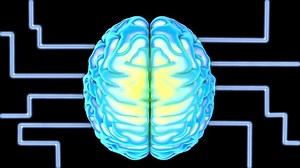 clip-3421699831-animation-neon-brain-on-black-background-neural