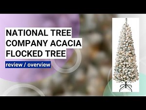 Reviewing the National Tree Company 6 ft Pre-Lit Acacia Flocked Christmas Tree