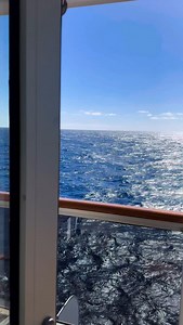 Just going through some fun footage from the Legendary Rhythm & Blues Cruise ( @legendarybluescruise ) - we had such a great time with friends, kindred spirits, fans and family ✨🎶🥳 Thanks to the crew, staff, and SO many friends we got to hang and make some music with! 💓🎶🥳 #blues #bluescruise #bluesharmonica #hohner #rockandroll @ghaliavolt @rodrigomanto @robertwelshjr @kidandersen @mackmcdonaldofficial @v_ness_sax @justice.guevara @hohnerharmonica @nickmossblues @harrell_davenport @bbranch1