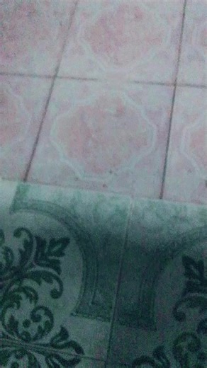 วิดีโอของ ATOM_2020 (@atom_3131) พร้อมเพลง 原聲 -