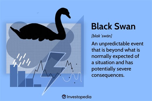 Understanding Black Swan Events: Rare Financial Crises Explained