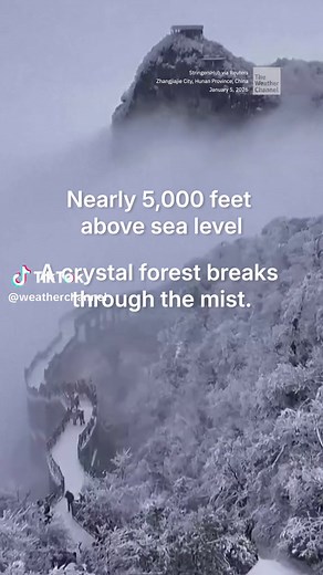 Spectacular video takes you high above the clouds to witness the phenomenon known as rime ice and shows you how far nature lovers will go to see it up close.