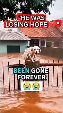 "HE WAS LOSING HOPE 💔"#shorts