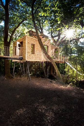 The Woodsman's Treehouse | Mallinson's Woodland Retreat